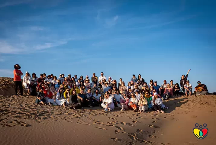 سفر کویری هلدینگ برتر